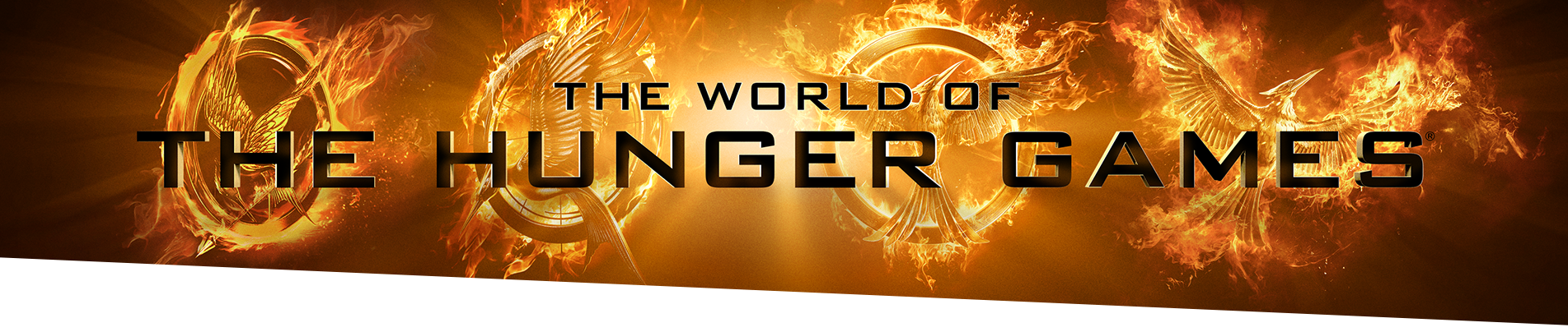 Hunger Games Collection