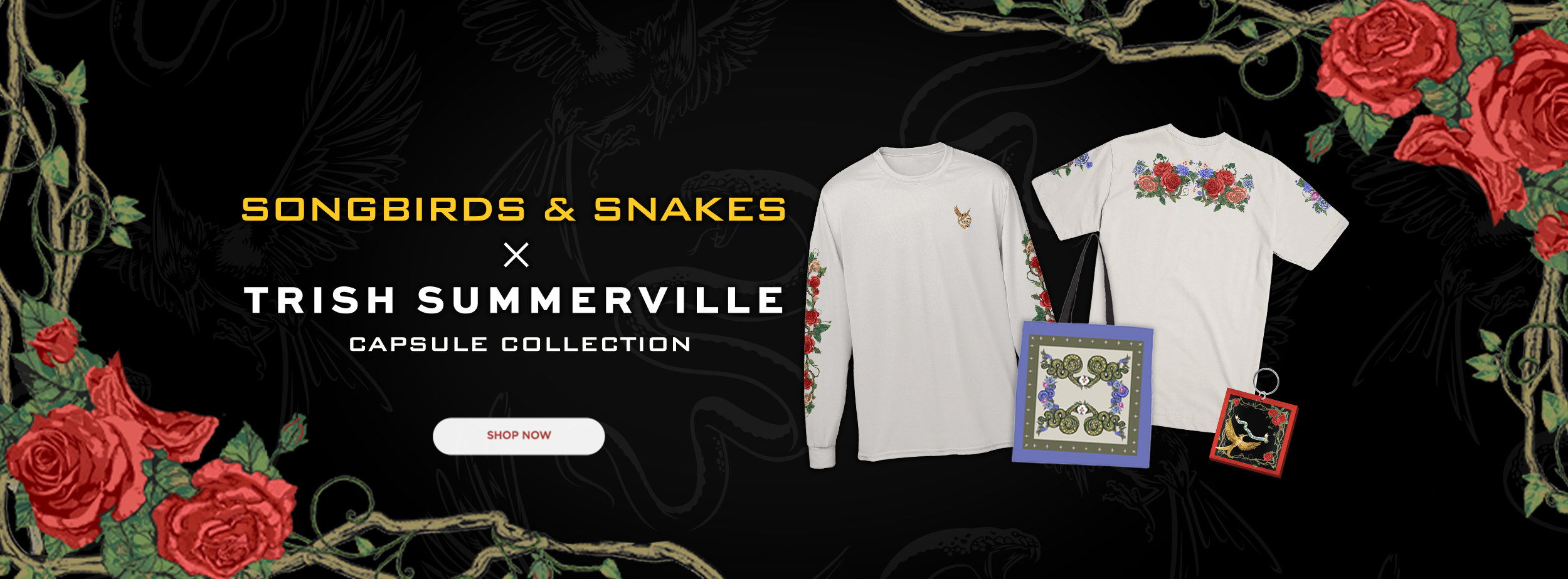 feature banner 
